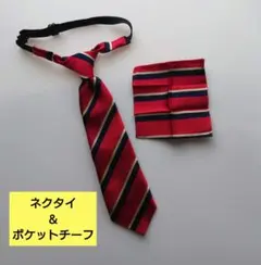 キッズ 赤紺のストライプ柄 ネクタイ & ポケットチーフ セット