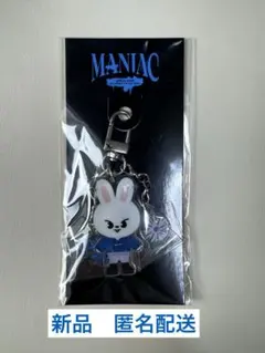 straykids スキズskzoo アクリルキーリング　リノ リービット