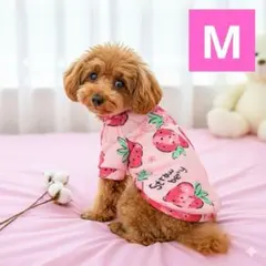 M 犬服　可愛い　フリース　防寒　あったか　長袖　裏起毛 冬服　いちご　イチゴ