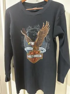 『希少』90s ハーレーダビッドソン ヴィンテージ　ロンT 古着 90s ハーレーダビッドソン ヴィンテージ ロンT 長袖Tシャツ