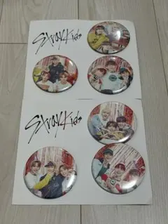Stray kids スキズ Unveil Tour 缶バッジ 缶バッチ コンプ Stray kids スキズ Unveil Tour 缶バッジ 缶バッチ コンプ - メルカリ
