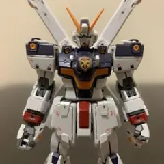 RG クロスボーン・ガンダム X1 & X2 セット 新品未組立 RG クロスボーン・ガンダムX1 1/144スケール – SOOTANG HOBBY