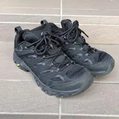 Item thumbnail for item 6c1460fb-0849-4dde-b1ff-42ec6dc04456