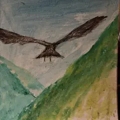 飛翔する白頭鷲 色鉛筆画 - メルカリ