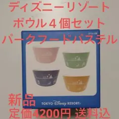 送料込定価以下　ディズニーリゾート　ボウル４個セット　パークフード　パステルのサムネイル