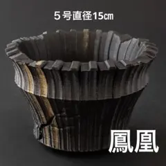 雷鳴〜紫〜 4号直径12㎝ 3dプリンター鉢 作家鉢 アガベ - メルカリ