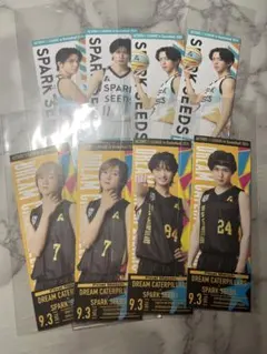 Item thumbnail for item 386d85cd-2cc3-46cd-a908-fd5dd1e13ca2