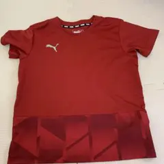 キッズプーマ半袖トップス