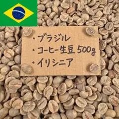 自家焙煎コーヒー豆】ブラジル イリニシア No.2 600g(300g×2袋) - メルカリ