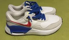 ナイキ ウィメンズ エア マックス SYSTM 29cm