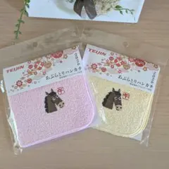 帝人 あぶらとりハンカチ 2枚 2026馬刺繍 ミクロスター TEIJIN