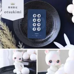【数量限定②】kumukuku用10mmレジンアイ「otsukimi」4点セット