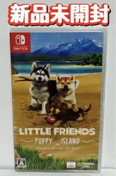 新品 Nintendo Switch LITTLE FRIENDS ~happy