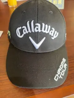 Item thumbnail for item 2fbbaa3b-1652-42b9-b061-9425a05399d6