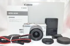 Item thumbnail for item 13412603-b590-4bef-911b-8af2f150f4f7