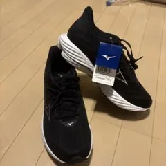 Mizuno WAVE RIDER 28ブラック