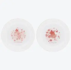 新品 TDR限定品 プレート2枚セット サクラ ミニー★お皿★ディズニー