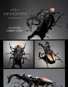 いきもの大図鑑アドバンスクワガタ02パリーフタマタクワガタ オンライン版