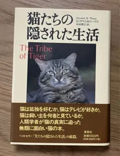 Item thumbnail for item d6fe2508-8ae9-47b2-b29e-f5b87e0decbc