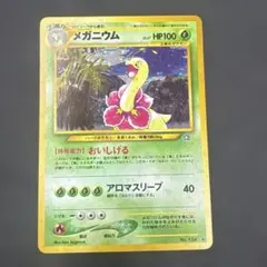 旧裏 メガニウム 拡張パック第1弾 金、銀、新世界へ… おいしげる