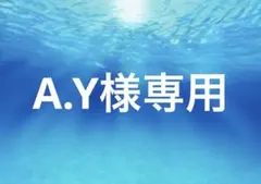 A.Y様専用