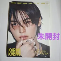 KARMA 　accordion 未開封　StrayKids リノ
