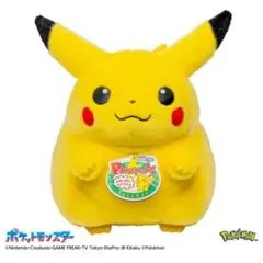 ポケットモンスター ポケモン30周年記念 おかえりピカチュウ1/1 高さ40cm
