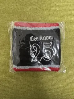 Word Tour dominATE japan エコパ リノ リストバンド