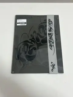 新品未開封品 HOSHI X WOOZI ホシ ウジ BEAM