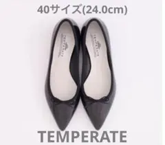テンパレイト TEMPERATE IRMA GLITTER (BLACK)