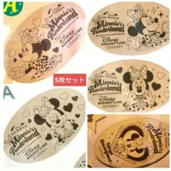 ミニーのファンダーランド　 ディズニースーベニアメダル　 パルパルーザ　ボンボ