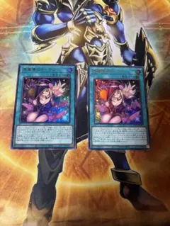 黒魔道のカーテン　ウルトラ2枚