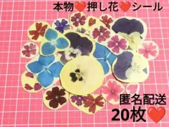 Item thumbnail for item 34a1f193-ed6b-4680-bb44-f17f75841b2c