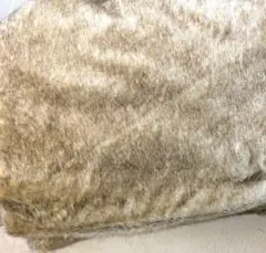 Item thumbnail for item e2986590-6353-4231-99a7-e8e4ac84349c