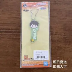【新品】ハイキュー 一番くじ N賞 アクリルチャーム　及川徹