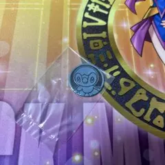 【新品未開封】ポケモンカード/ポケモンコインコレクション第2弾/ポッチャマのサムネイル