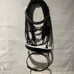 Item thumbnail for item e058b1ff-13be-4747-9741-9a14f3820108