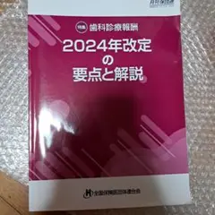 2024年度改定の要点と解説