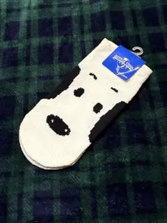 Item thumbnail for item 61a59731-5685-413a-9864-50e9313c01df