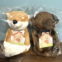 【大幅値下げしました♡】うちのハル君です　ぬいぐるみ　2個　セット