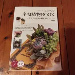 アレンジをたのしむ 多肉植物BOOK ~育て方から寄せ植え、飾り方まで~