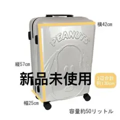 PEANUTS ピーナッツ ジッパーキャリーM 2SNA5Z - メルカリ