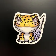 Item thumbnail for item bd990624-8663-4abe-aed9-45ed43f60dc9