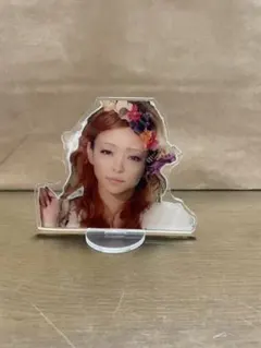 ♡NA.KIKI♡様専用 安室ちゃんBIGアクリルスタンド１４７