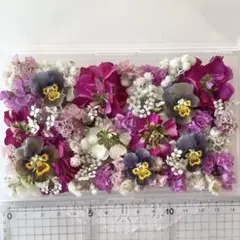 No.581 花材色々ドライフラワーセット