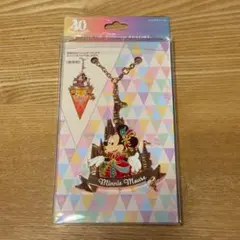 ミニーマウス バッグチャーム キーホルダー ディズニーリゾート 40周年