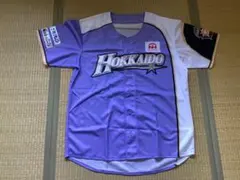 北海道日本ハムファイターズ　 ユニフォームのサムネイル