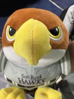 SoftBank Hawks ファイト九州2026 タカぬいぐるみ - メルカリ