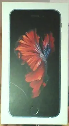 iphone 6s,SpaceGray,16GB　空箱　、純正イヤホン