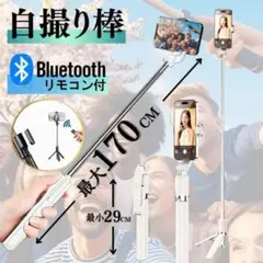 Item thumbnail for item 4cd4c48a-f5bc-486d-84d5-99585cbd2ed1